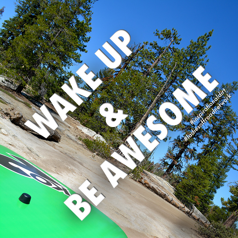 LON-Inspirational-Dirt-Wake-Up-Awesome