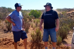 Bower Media Trail of Missions D2-13