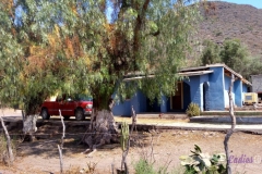 Bower Media Trail of Missions D2-20