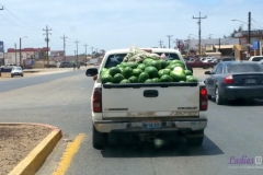 Bower Media Trail of Missions D2-30