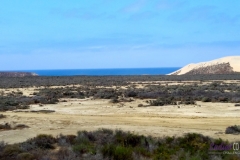 Bower Media Trail of Missions D2-33