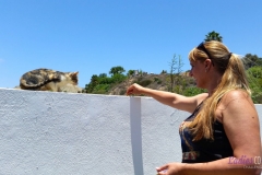 Bower Media Trail of Missions D2-36