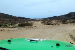 Bower Media Trail of Missions D2-41