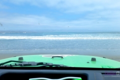 Bower Media Trail of Missions D2-43