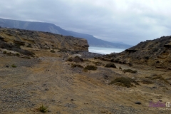 Bower Media Trail of Missions D3-15