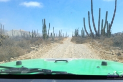 Bower Media Trail of Missions D3-17