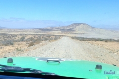 Bower Media Trail of Missions D3-21