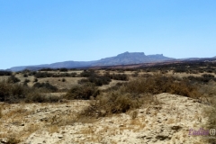 Bower Media Trail of Missions D3-22