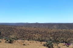 Bower Media Trail of Missions D3-31