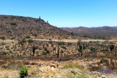 Bower Media Trail of Missions D3-33