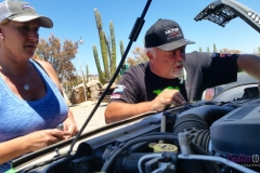 Bower Media Trail of Missions D3-40