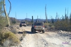 Bower Media Trail of Missions D3-62