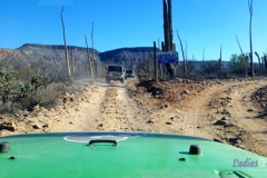 Bower Media Trail of Missions D3-64