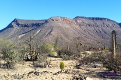 Bower Media Trail of Missions D3-65