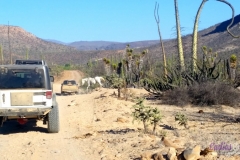 Bower Media Trail of Missions D3-66