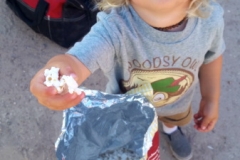 Bower Media Trail of Missions D3-76