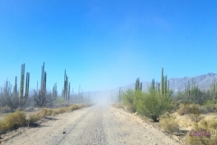 Bower Media Trail of Missions D4-10