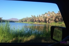 Bower Media Trail of Missions D4-101