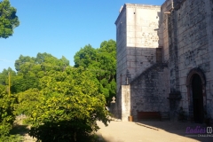 Bower Media Trail of Missions D4-110