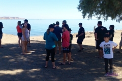 Bower Media Trail of Missions D4-17