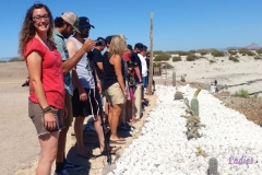 Bower Media Trail of Missions D4-21