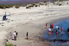 Bower Media Trail of Missions D4-31