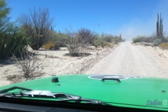 Bower Media Trail of Missions D4-36