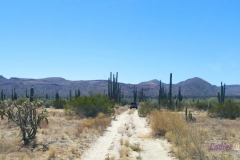 Bower Media Trail of Missions D4-38