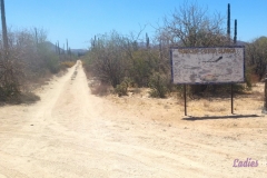 Bower Media Trail of Missions D4-41