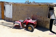 Bower Media Trail of Missions D4-43