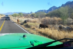 Bower Media Trail of Missions D5-104