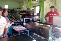 Bower Media Trail of Missions D5-12