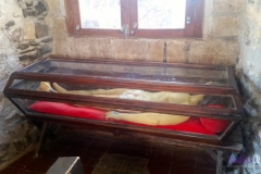 Bower Media Trail of Missions D5-44