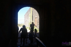 Bower Media Trail of Missions D5-46