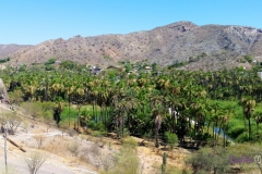 Bower Media Trail of Missions D5-50