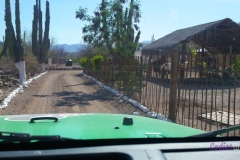 Bower Media Trail of Missions D5-94