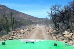 Bower Media Trail of Missions D6-11