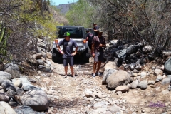 Bower Media Trail of Missions D6-19