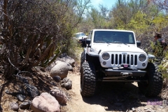 Bower Media Trail of Missions D6-21