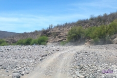 Bower Media Trail of Missions D6-27