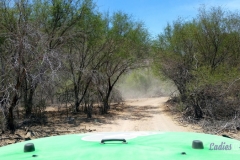 Bower Media Trail of Missions D6-28