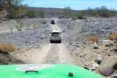 Bower Media Trail of Missions D6-31