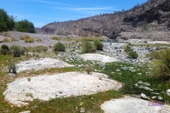 Bower Media Trail of Missions D6-35