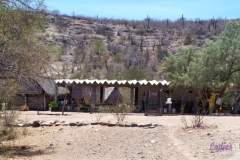 Bower Media Trail of Missions D6-36