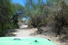 Bower Media Trail of Missions D6-37