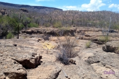 Bower Media Trail of Missions D6-38