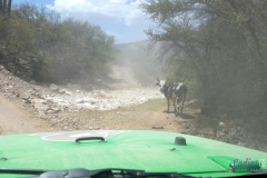 Bower Media Trail of Missions D6-39