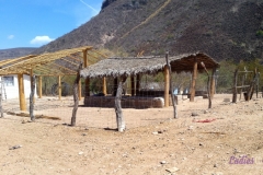 Bower Media Trail of Missions D6-41