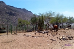 Bower Media Trail of Missions D6-42