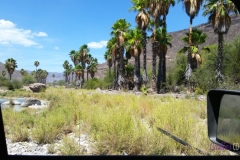 Bower Media Trail of Missions D6-44